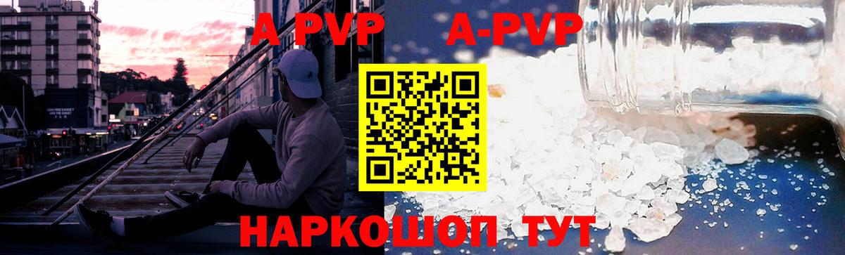 А ПВП СК КРИС Гатчина