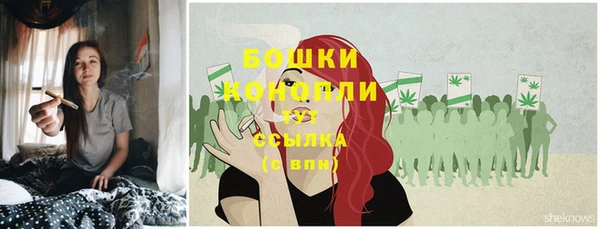 шишки Богородицк