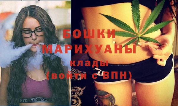 шишки Богородицк