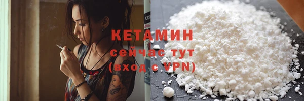 шишки Богородицк
