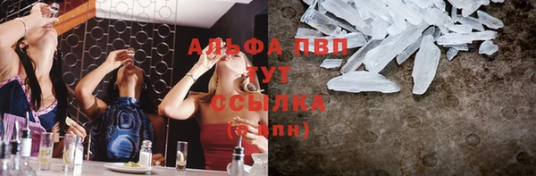 шишки Богородицк