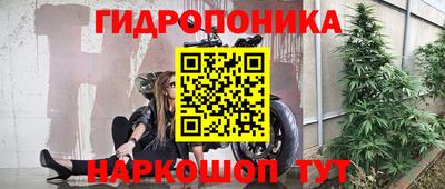 ГАЛЛЮЦИНОГЕННЫЕ ГРИБЫ Бийск