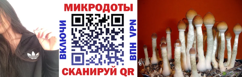 Галлюциногенные грибы мухоморы  это телеграм  Гатчина 