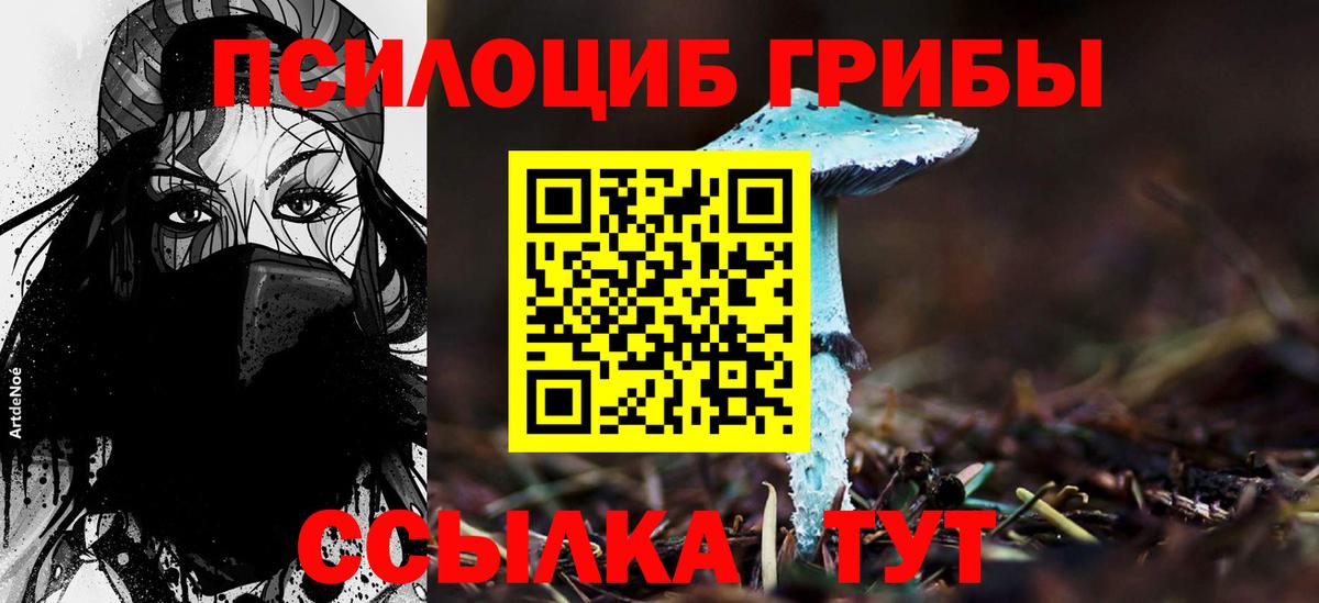 Псилоцибиновые грибы ЛСД Гатчина