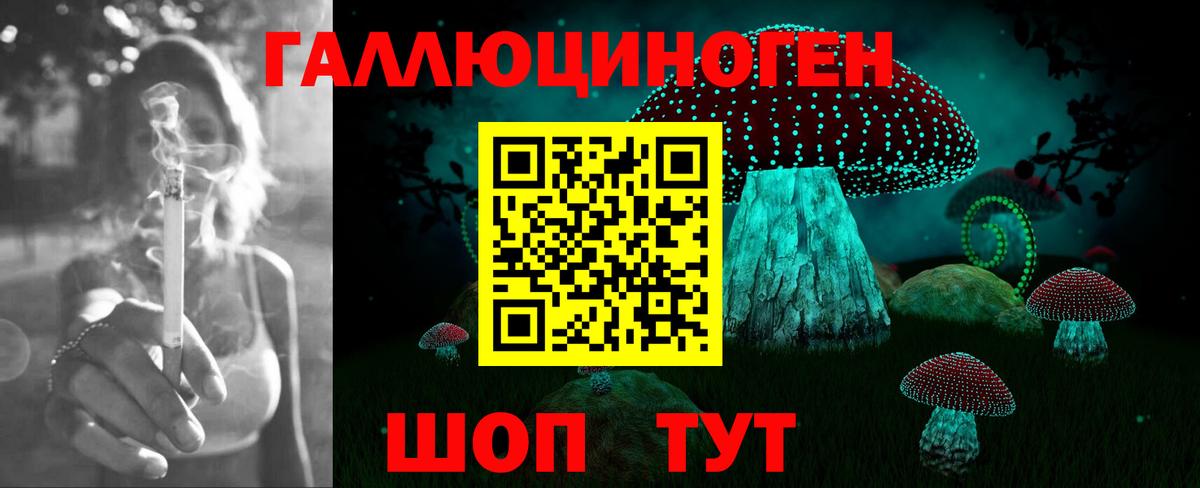 Галлюциногенные грибы Psilocybine cubensis  Вход с VPN  купить  сайты  Гатчина 